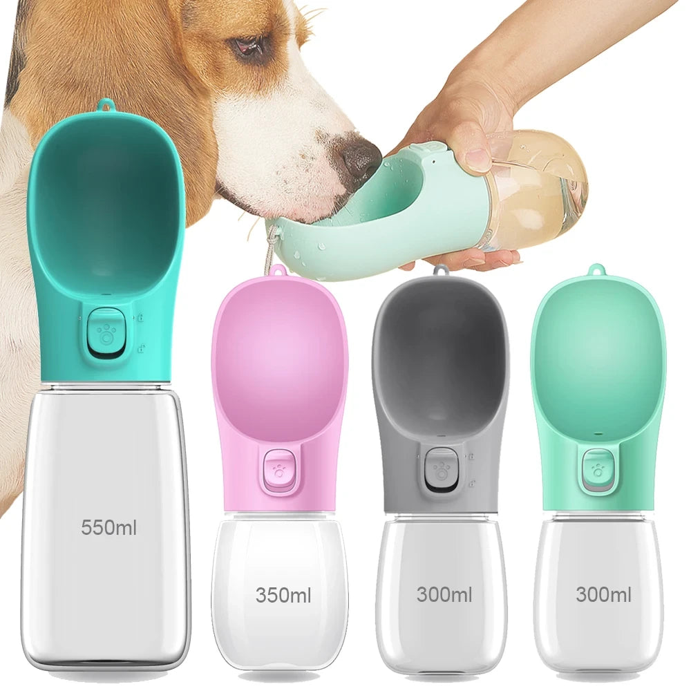 WhimsySip™ | Travel Water Bottle