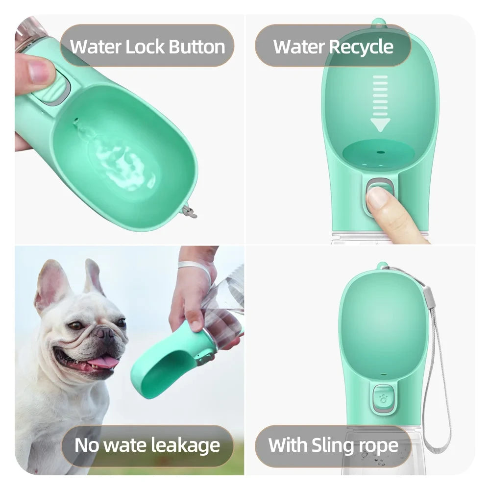 WhimsySip™ | Travel Water Bottle