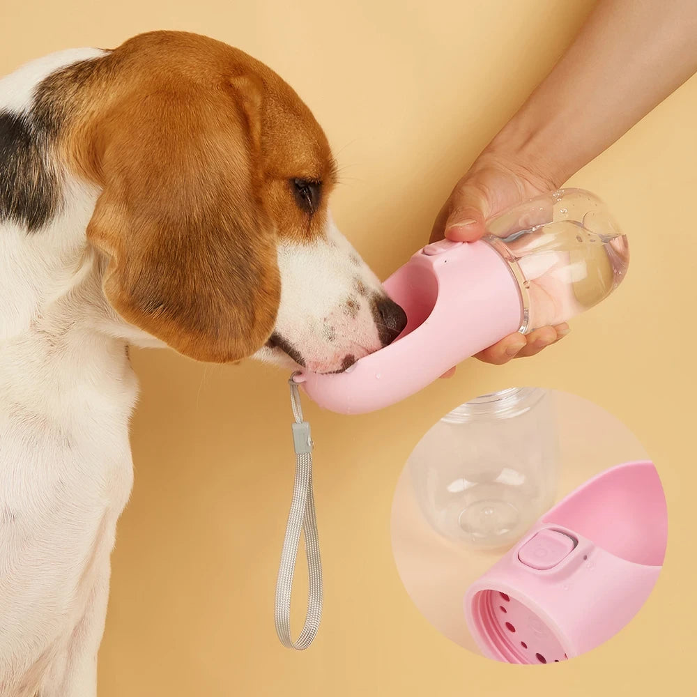WhimsySip™ | Travel Water Bottle