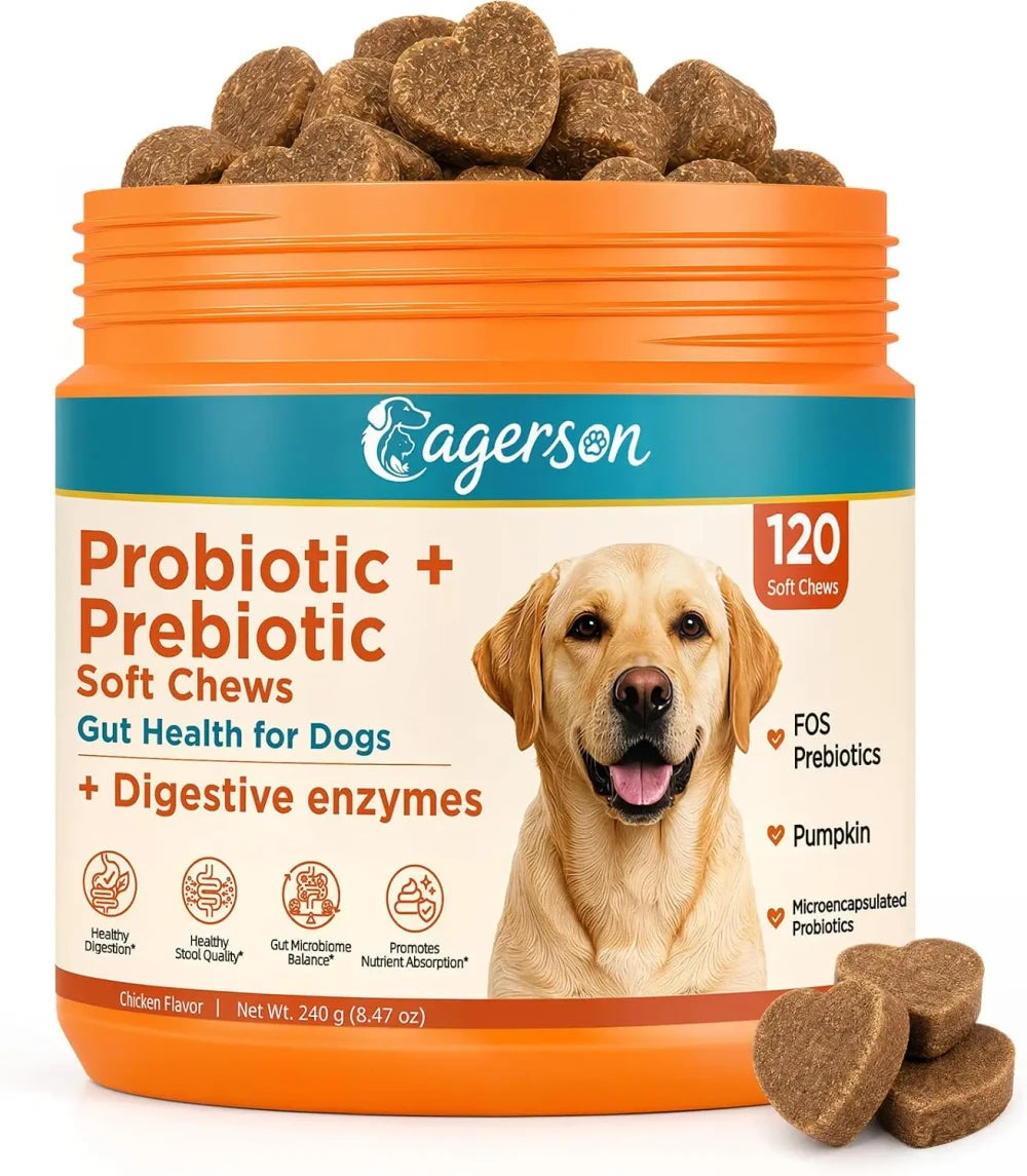 Daily Probiotic + Digestive Support Chews