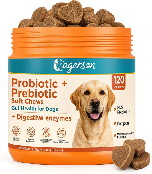 Daily Probiotic + Digestive Support Chews