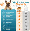 Daily Probiotic + Digestive Support Chews