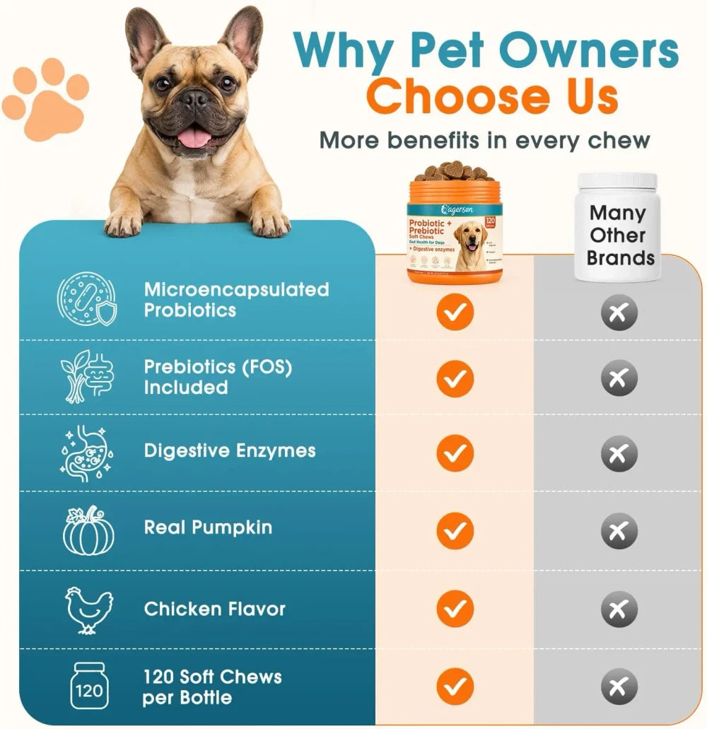 Daily Probiotic + Digestive Support Chews