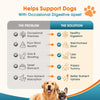 Daily Probiotic + Digestive Support Chews