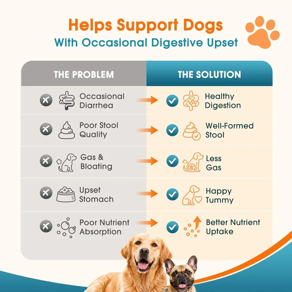 Daily Probiotic + Digestive Support Chews