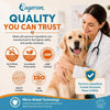 Daily Probiotic + Digestive Support Chews