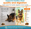 Daily Probiotic + Digestive Support Chews