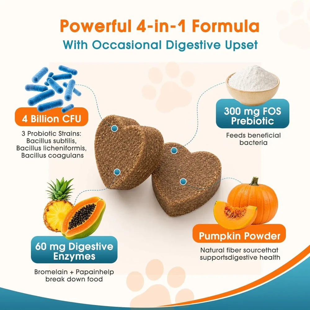 Daily Probiotic + Digestive Support Chews