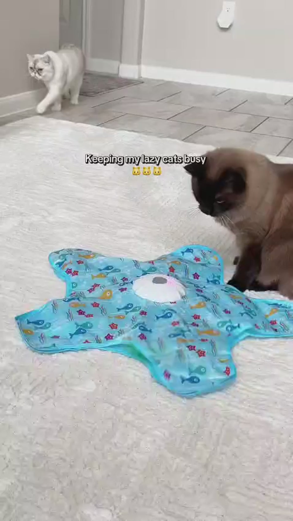 WHIMSYPET™ Peekaboo Play Mat